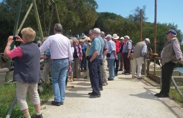 tedeschi in visita allo stagno