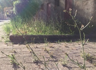 “Il centro di Gairo è in abbandono, il comune intervenga”. L’appello dell’opposizione