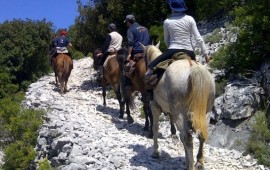 Escursione a cavallo