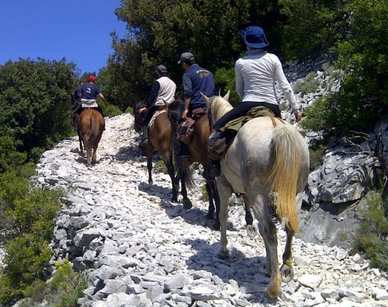 Escursione a cavallo