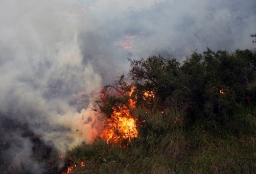 Fiamme sull’Ogliastra, due gli incendi: uno a Tortolì, l’altro sul Monte Tarè