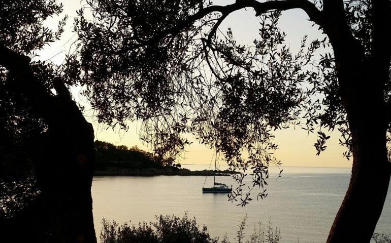 Lo scatto del giorno. Baia di Porto Frailis (Tortolì)