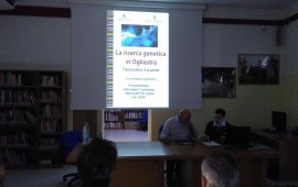 Assemblea Dna ogliastrino