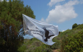 Lo stendardo del GriG (foto tratta dal sito dell'associazione)