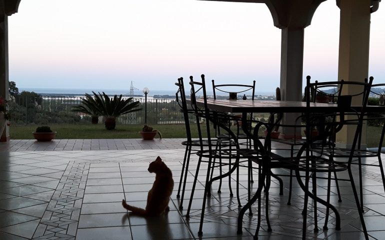 Lo scatto del giorno. Terrazza con vista su Tortolì. Una foto di G. Piroddi