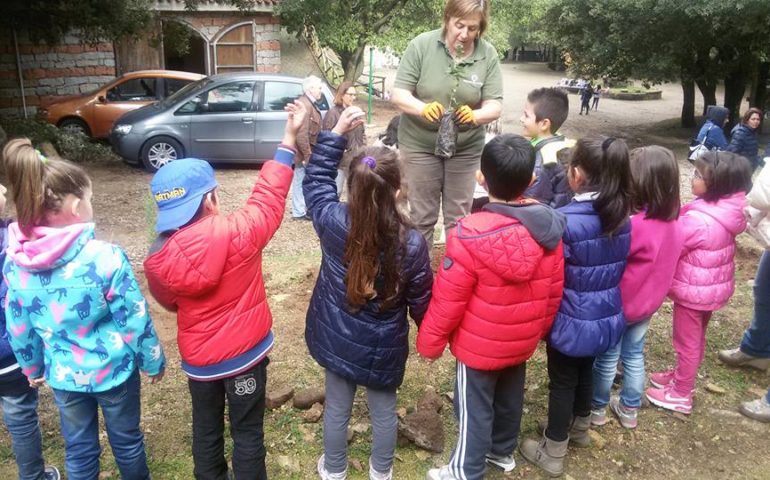 Parco Carmine: 90 bambini di Arzana ed Elini alla scoperta del bosco per la Festa dell’albero 2016