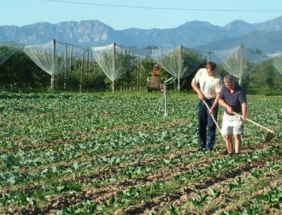 L’azienda dell’ogliastrina Luisa Cabiddu in lizza per gli Oscar green alle migliori aziende agricole innovative under 40