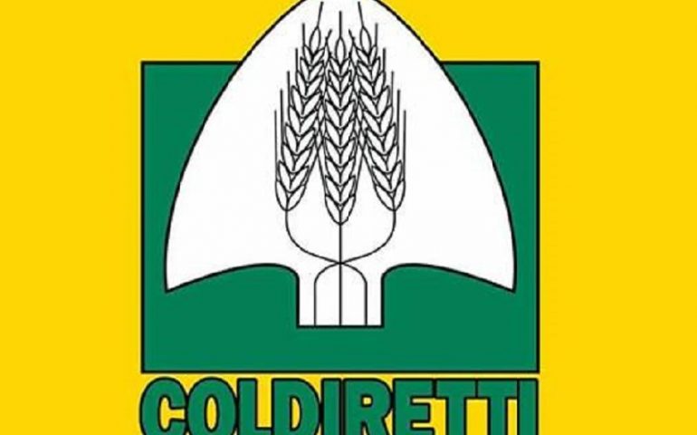 Agricoltura, Coldiretti Sardegna: “Assessore, così non va”