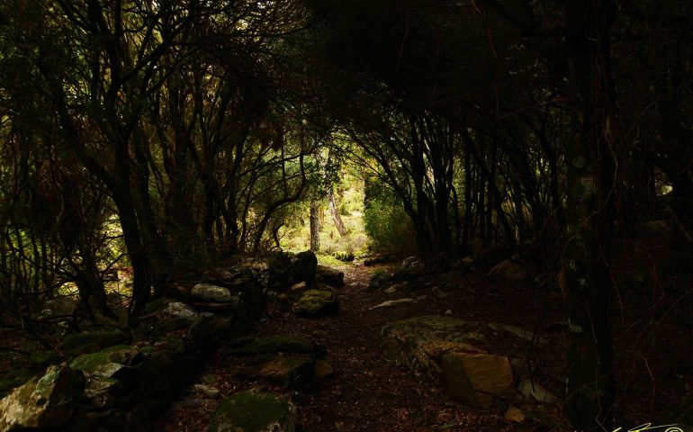 Le foto dei lettori. La magia de Su caminu de is paras, l’antico sentiero  che univa Lanusei a Gesturi