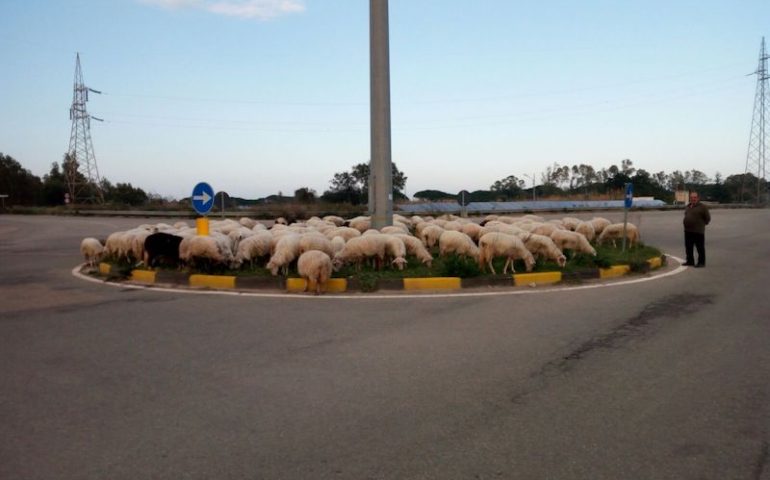 Intanto in Ogliastra. Tagliaerba alternativi a Tortolì di Gianni Lepori