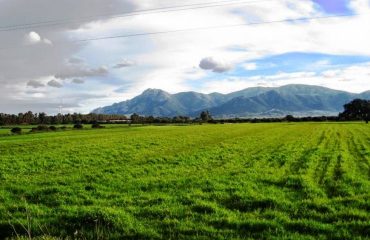 Pauli-Cungiau-foto-di-Italia-Nostra-Sardegna