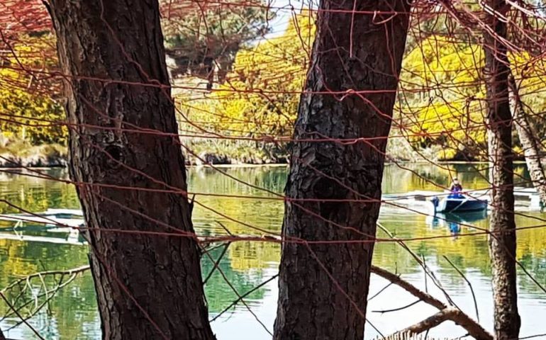 Le foto dei lettori. Scenari unici alla Capannina di Claudia Comida