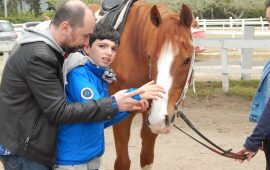 Equiblu Maneggio Pastrengo Tortolì
