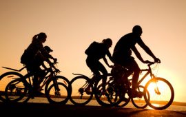 bicicletta gruppo