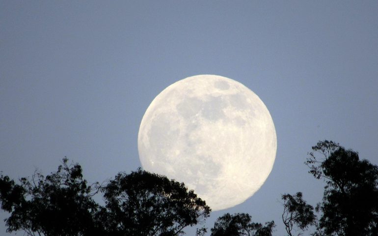 Le foto dei lettori. La luna illumina la Baia di Porto Frailis