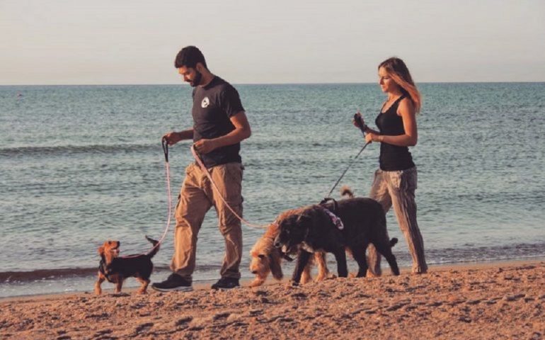 I “consigli bestiali” dell’educatore. Ecco le 10 regole d’oro per andare in spiaggia col proprio cane