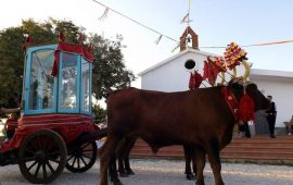 Festa San Gemiliano ( foto A.Useli)