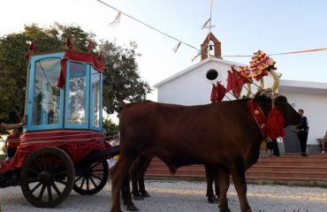 Festa San Gemiliano ( foto A.Useli)