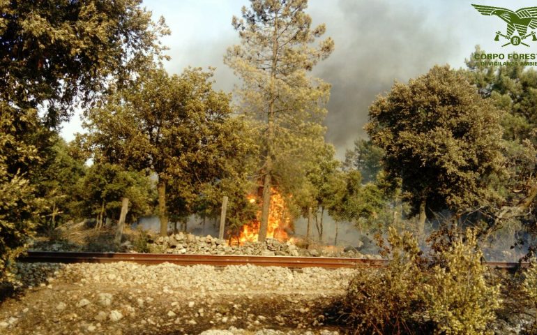 Sei incendi in Sardegna con ricorso di mezzi aerei, roghi ancora attivi a Sadali e Gairo