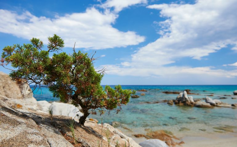 Bandiere Blu spiagge 2018: in Sardegna saranno 13. Ogliastra presente