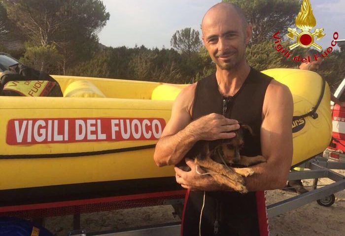 Incastrato per tre giorni in una tana di conigli: cagnolino salvato dai Vigili del Fuoco