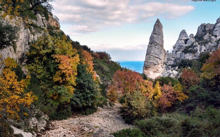 Le foto dei lettori. Autunno a Goloritzé nello scatto di Gigliola Marongiu