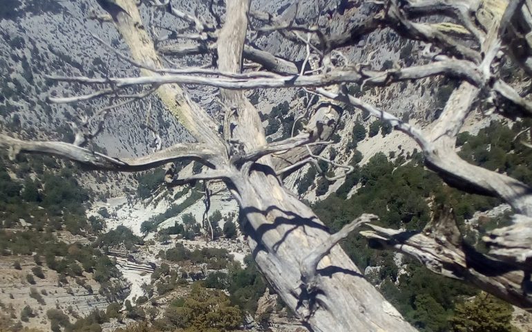 Le foto dei lettori. Paesaggio visto dal sentiero per la Gola di Gorroppu