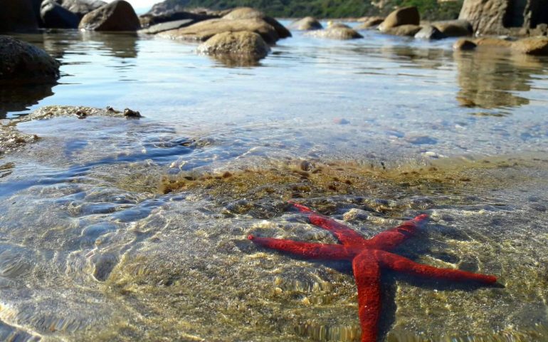 Le foto dei lettori. L’estate in Ogliastra non finisce mai