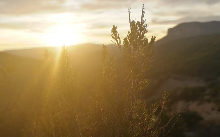 Le foto dei lettori. Tramonto nelle campagne di Ulassai