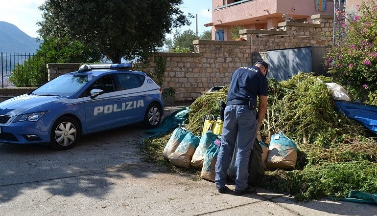 Siniscola, sequestrata vasta piantagione di marijuana, in manette un 42enne