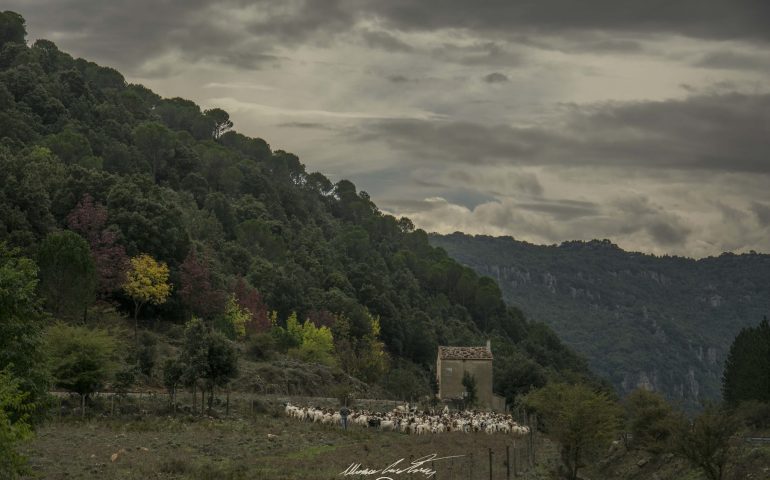 Le foto dei lettori. Scorci ogliastrini d’autunno