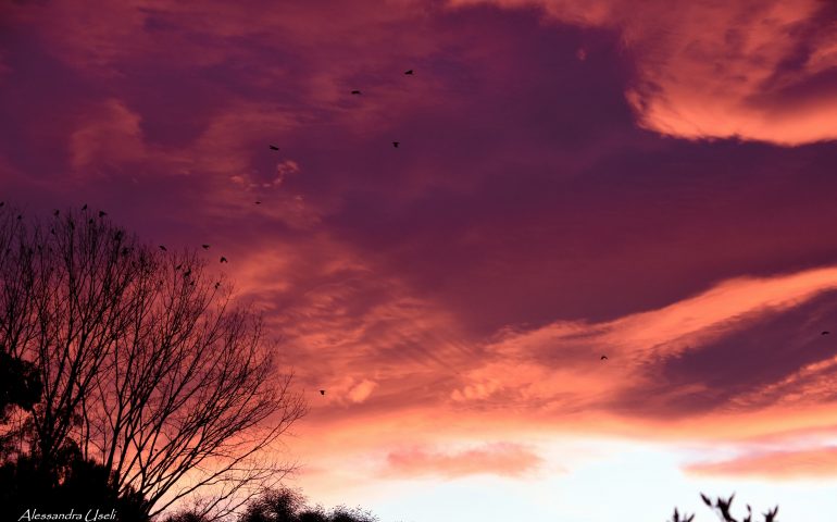 Le foto dei lettori. Ilbono al tramonto nello scatto di Giuseppe Mura