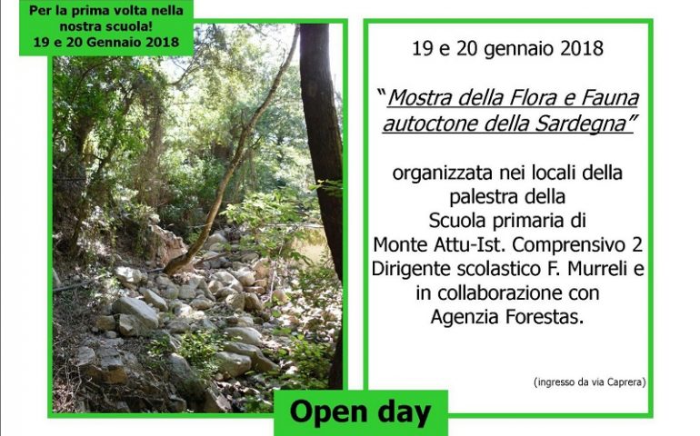 Tortolì, Flora e Fauna autoctone della Sardegna in mostra nella scuola primaria di Monte Attu