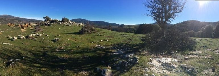 Le foto dei lettori. Scorci di panorama arzanese