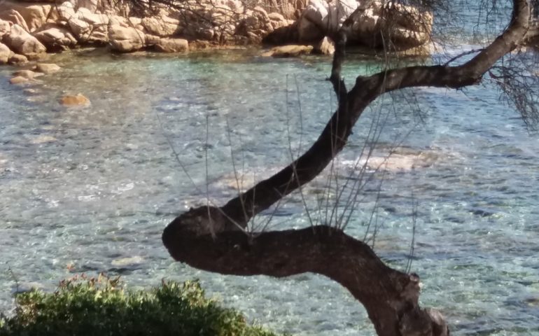 Le foto dei lettori. Santa Maria Navarrese nello scatto di Luca Murru