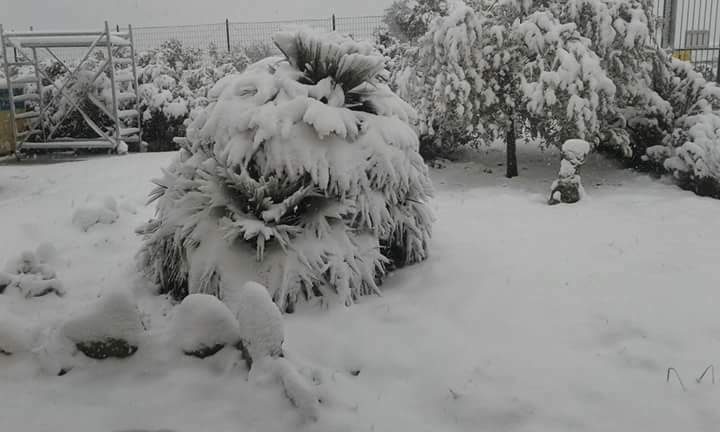 Le foto dei lettori. Ulassai sotto un candido manto di neve