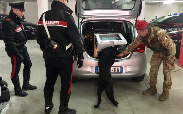 Droga nascosta con panni imbevuti di benzina per confondere l’olfatto dei cani: arrestato al porto di Olbia