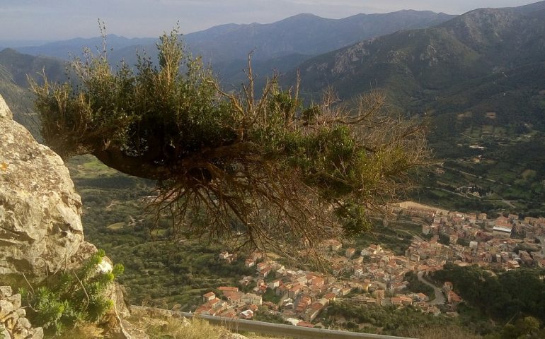 Le foto dei lettori. Urzulei in uno scatto di Antonella Mereu