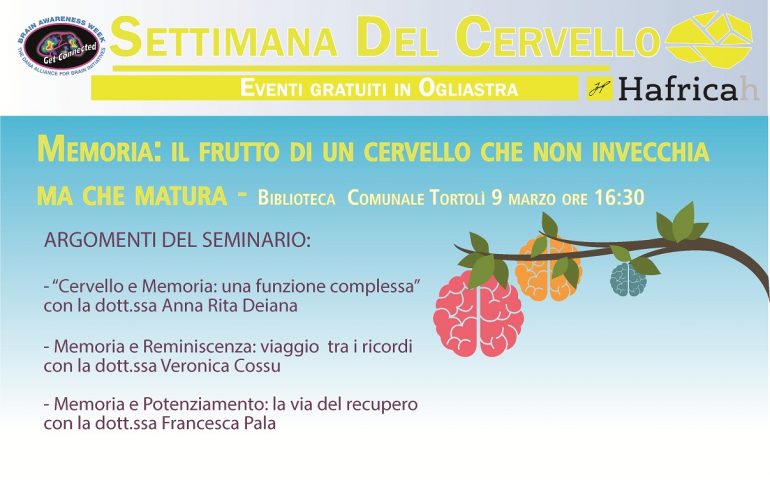 Settimana del cervello, l’Ogliastra presente in cinque comuni