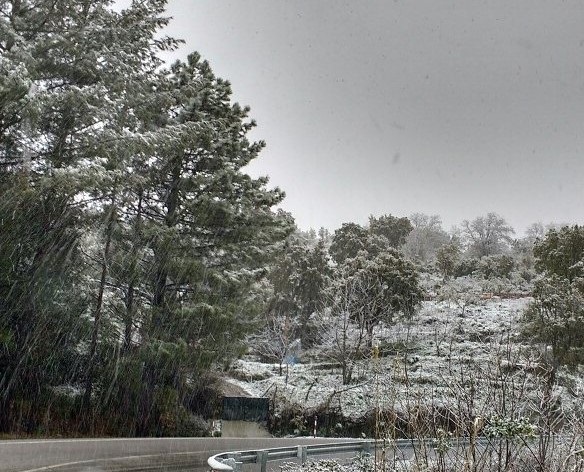 La fotonotizia: primavera con la neve nella Barbagia di Seulo