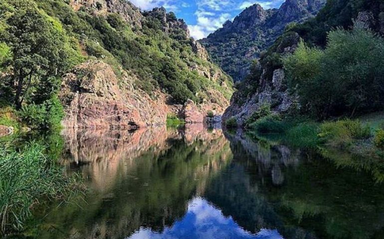 La Sardegna vince il prestigioso titolo di “Isola forestale d’Europa 2018”