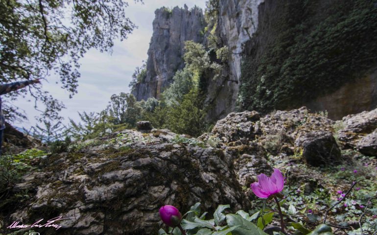 Le foto dei lettori. Ogliastra, tra mare e montagna