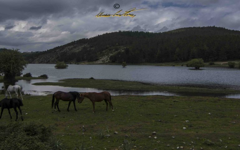 Le foto dei lettori. Meravigliosi incontri in Ogliastra