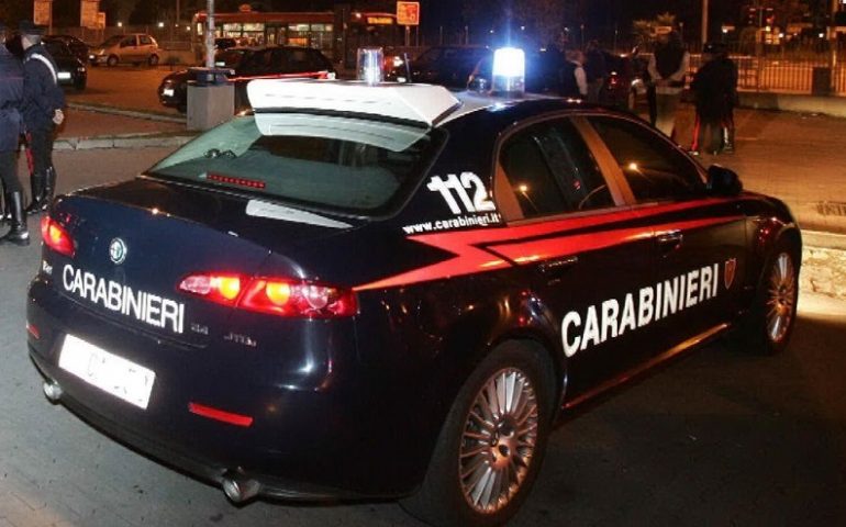 Lotzorai, soccorso dai Carabinieri un cane investito da un’auto