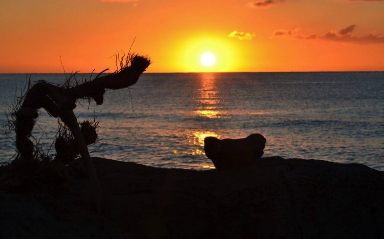 Le foto dei lettori. Un buongiorno dall’Ogliastra