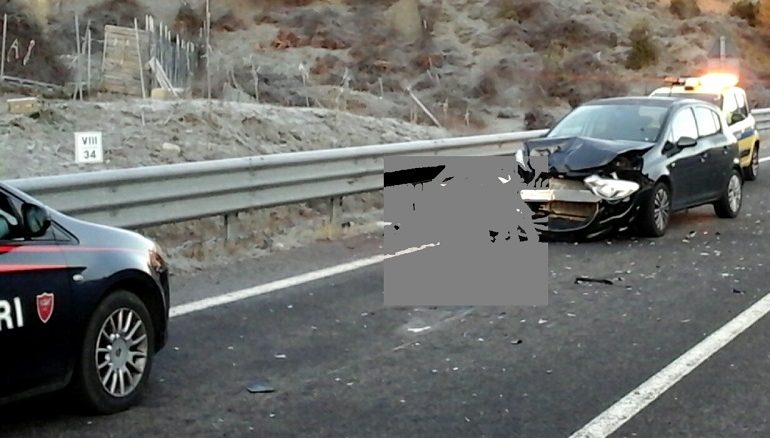 Arzana, incidente stradale, furgone impatta contro un puledro. Autista illeso