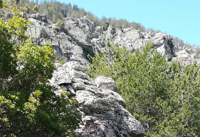 Le foto dei lettori. La bellezza di Monte Armidda