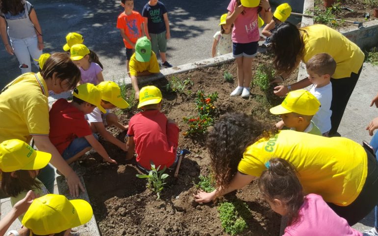 “Adotta un fiore e rendi più verde la città”. L’Ortflowers di Roberta Farigu di Tortolì conquista Nuoro