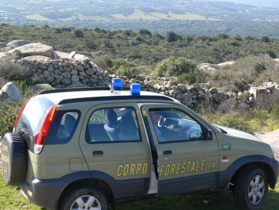 Condannato per reati ambientali, la Giunta lo nomina direttore del Corpo Forestale: bufera su Antonio Casula
