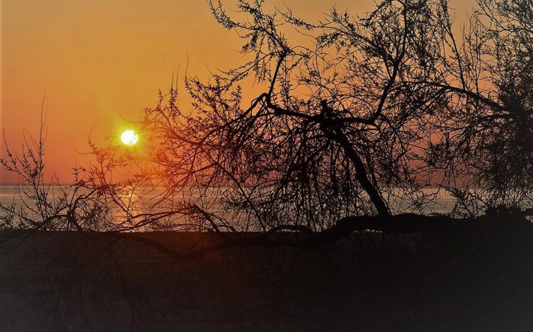 Le foto dei lettori. La settimana in Ogliastra inizia così